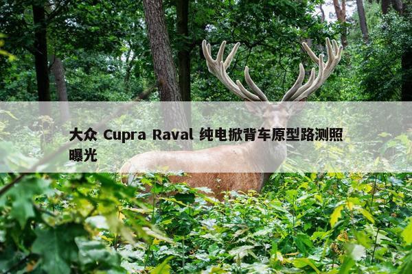 大众 Cupra Raval 纯电掀背车原型路测照曝光