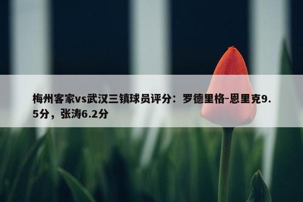 梅州客家vs武汉三镇球员评分：罗德里格-恩里克9.5分，张涛6.2分