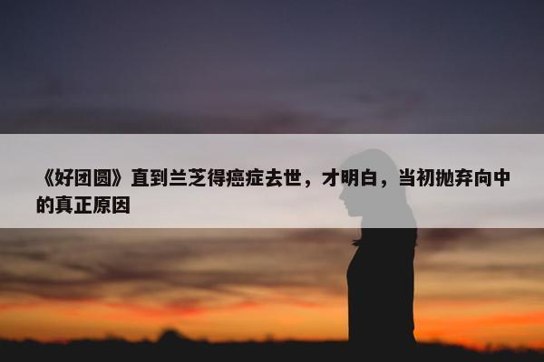 《好团圆》直到兰芝得癌症去世，才明白，当初抛弃向中的真正原因