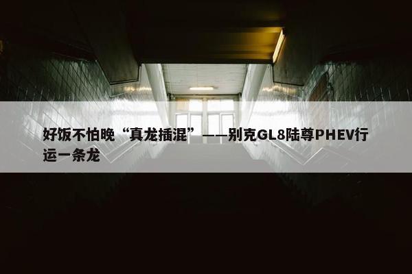 好饭不怕晚“真龙插混”——别克GL8陆尊PHEV行运一条龙