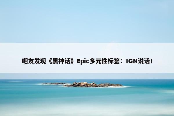 吧友发现《黑神话》Epic多元性标签：IGN说话！