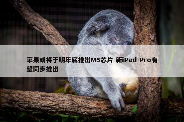 苹果或将于明年底推出M5芯片 新iPad Pro有望同步推出