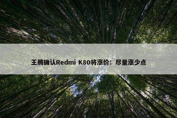 王腾确认Redmi K80将涨价：尽量涨少点