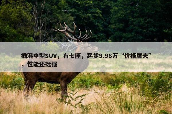 插混中型SUV，有七座，起步9.98万“价格屠夫”，性能还挺强