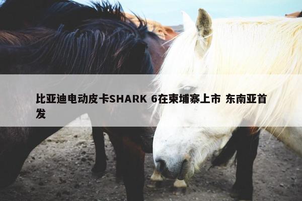 比亚迪电动皮卡SHARK 6在柬埔寨上市 东南亚首发