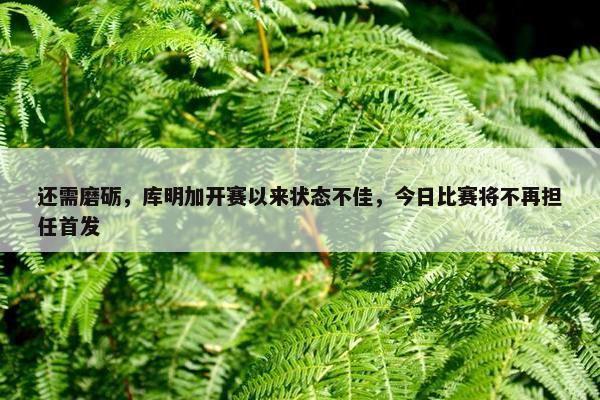 还需磨砺，库明加开赛以来状态不佳，今日比赛将不再担任首发