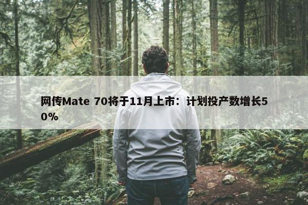 网传Mate 70将于11月上市：计划投产数增长50%