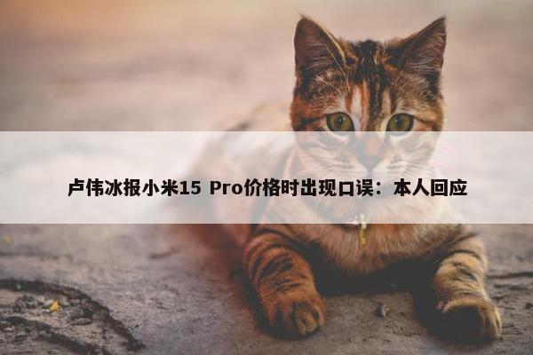 卢伟冰报小米15 Pro价格时出现口误：本人回应