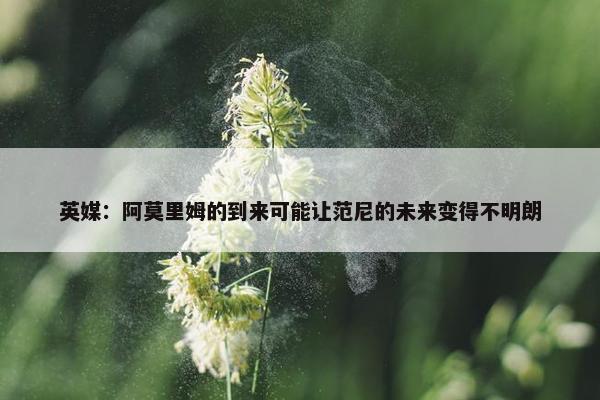 英媒：阿莫里姆的到来可能让范尼的未来变得不明朗