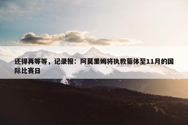 还得再等等，记录报：阿莫里姆将执教葡体至11月的国际比赛日