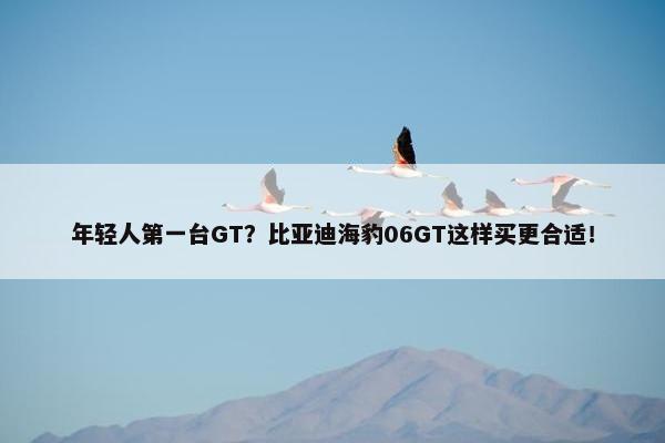 年轻人第一台GT？比亚迪海豹06GT这样买更合适！