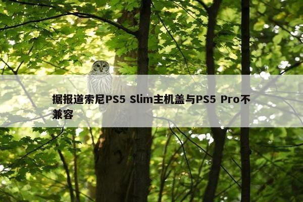 据报道索尼PS5 Slim主机盖与PS5 Pro不兼容