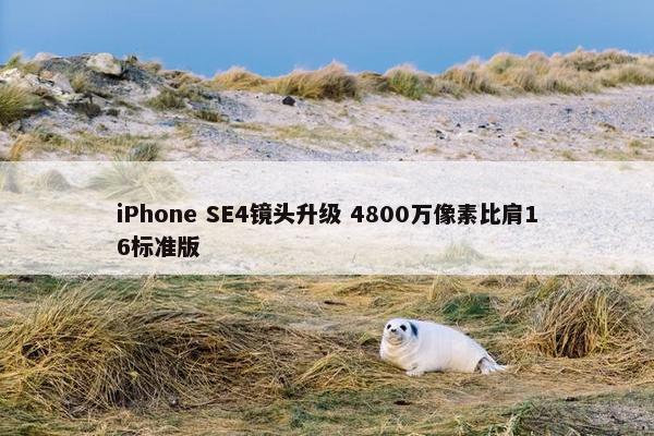 iPhone SE4镜头升级 4800万像素比肩16标准版