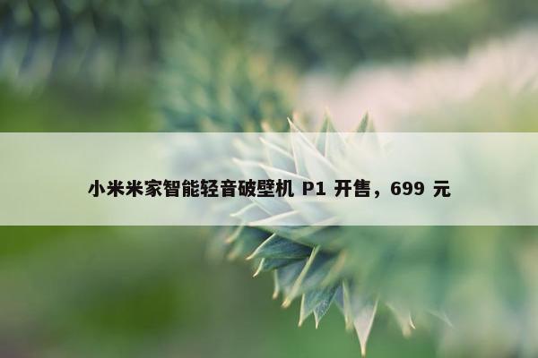 小米米家智能轻音破壁机 P1 开售，699 元