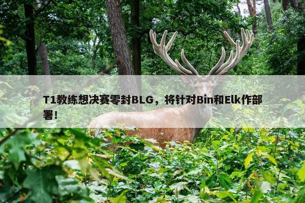 T1教练想决赛零封BLG，将针对Bin和Elk作部署！