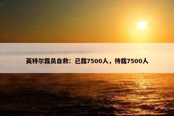 英特尔裁员自救：已裁7500人，待裁7500人