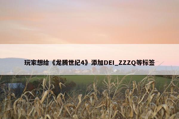 玩家想给《龙腾世纪4》添加DEI_ZZZQ等标签