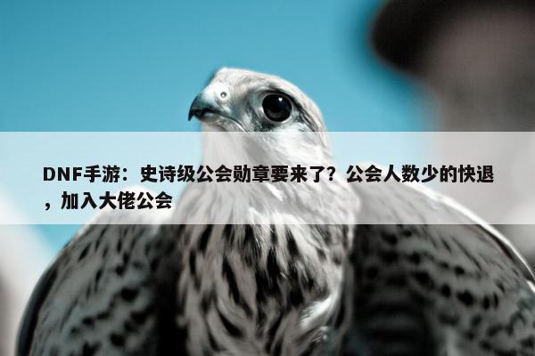 DNF手游：史诗级公会勋章要来了？公会人数少的快退，加入大佬公会