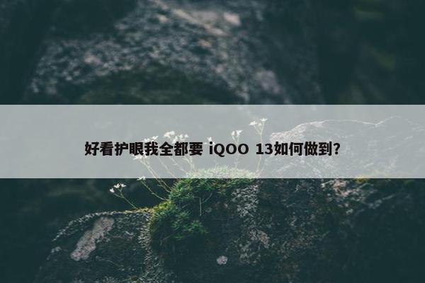 好看护眼我全都要 iQOO 13如何做到？