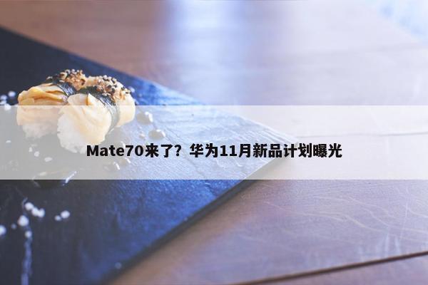 Mate70来了？华为11月新品计划曝光