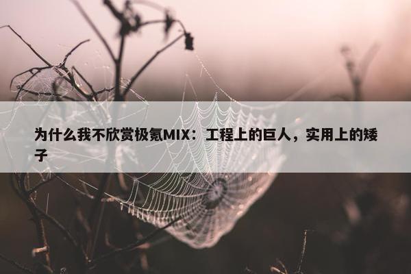 为什么我不欣赏极氪MIX：工程上的巨人，实用上的矮子