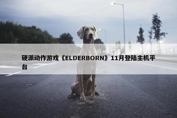 硬派动作游戏《ELDERBORN》11月登陆主机平台