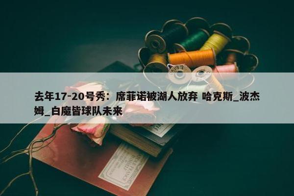 去年17-20号秀：席菲诺被湖人放弃 哈克斯_波杰姆_白魔皆球队未来