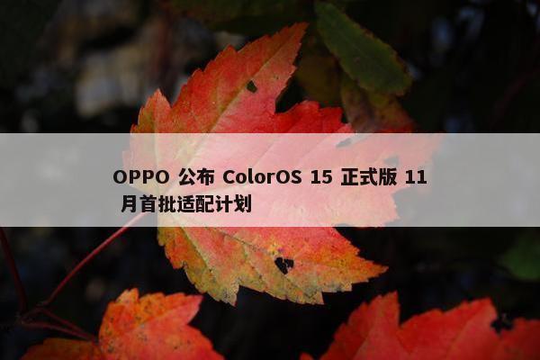 OPPO 公布 ColorOS 15 正式版 11 月首批适配计划