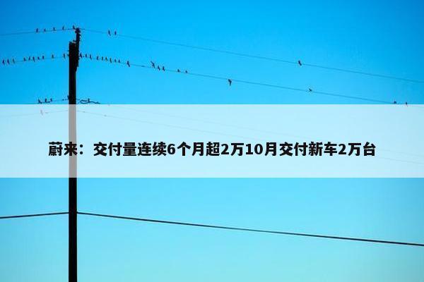 蔚来：交付量连续6个月超2万10月交付新车2万台