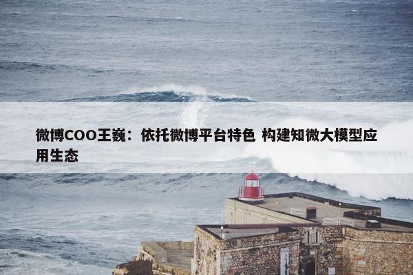 微博COO王巍：依托微博平台特色 构建知微大模型应用生态