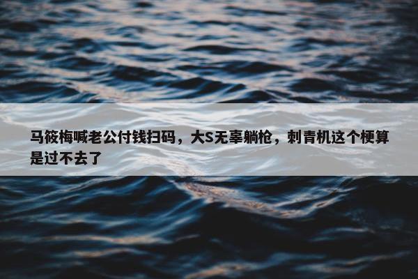 马筱梅喊老公付钱扫码，大S无辜躺枪，刺青机这个梗算是过不去了