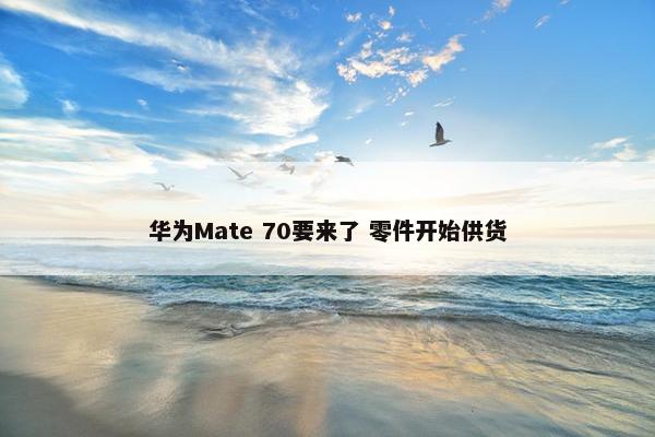 华为Mate 70要来了 零件开始供货