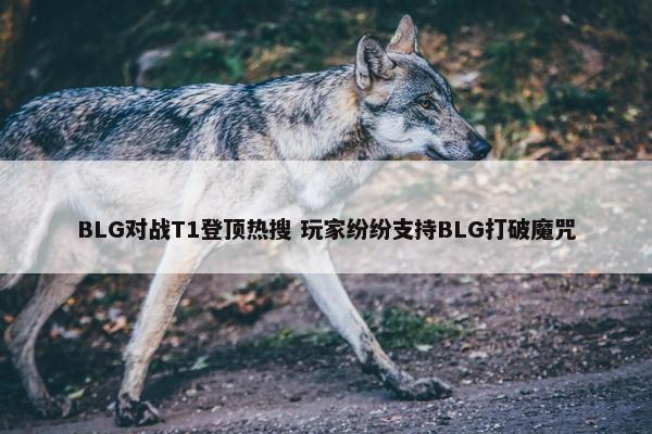 BLG对战T1登顶热搜 玩家纷纷支持BLG打破魔咒