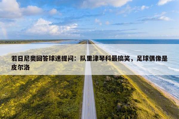 若日尼奥回答球迷提问：队里津琴科最搞笑，足球偶像是皮尔洛