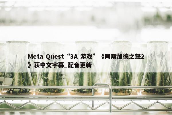 Meta Quest“3A 游戏”《阿斯加德之怒2》获中文字幕_配音更新