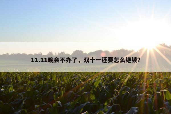 11.11晚会不办了，双十一还要怎么继续？