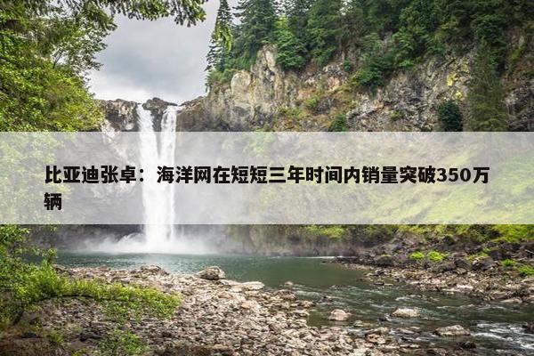 比亚迪张卓：海洋网在短短三年时间内销量突破350万辆