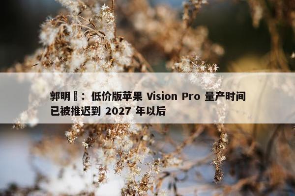 郭明錤：低价版苹果 Vision Pro 量产时间已被推迟到 2027 年以后