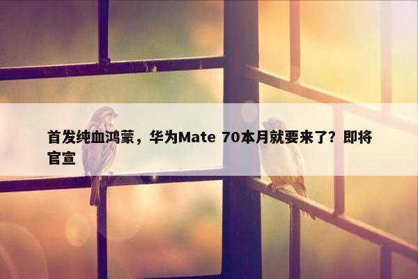 首发纯血鸿蒙，华为Mate 70本月就要来了？即将官宣