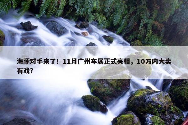 海豚对手来了！11月广州车展正式亮相，10万内大卖有戏？