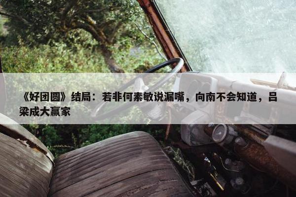 《好团圆》结局：若非何素敏说漏嘴，向南不会知道，吕梁成大赢家