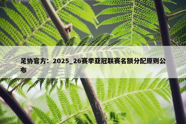 足协官方：2025_26赛季亚冠联赛名额分配原则公布