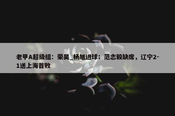 老甲A超级组：荣昊_杨旭进球；范志毅缺席，辽宁2-1送上海首败