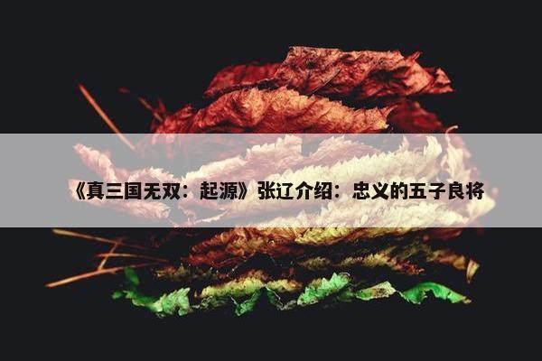 《真三国无双：起源》张辽介绍：忠义的五子良将