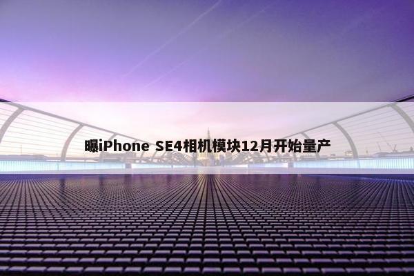 曝iPhone SE4相机模块12月开始量产