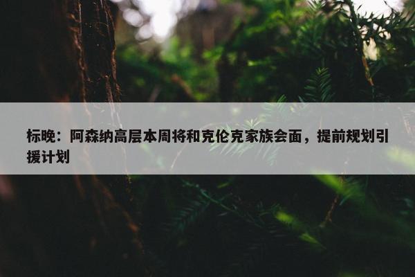 标晚：阿森纳高层本周将和克伦克家族会面，提前规划引援计划