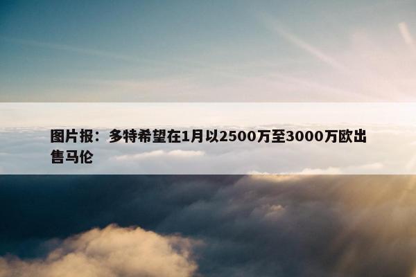 图片报：多特希望在1月以2500万至3000万欧出售马伦