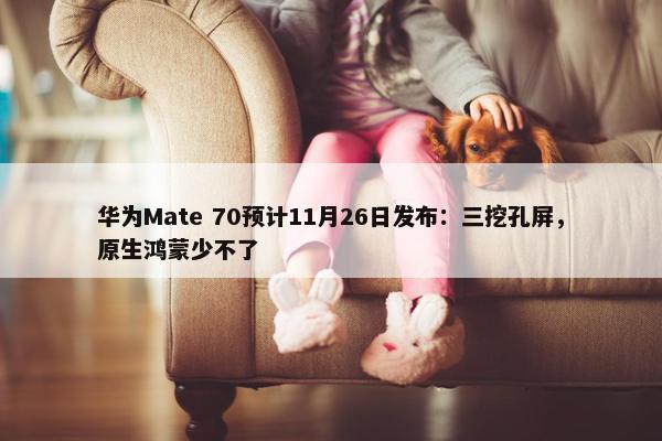 华为Mate 70预计11月26日发布：三挖孔屏，原生鸿蒙少不了