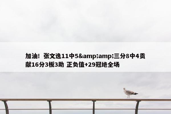 加油！张文逸11中5&amp;三分8中4贡献16分3板3助 正负值+29冠绝全场