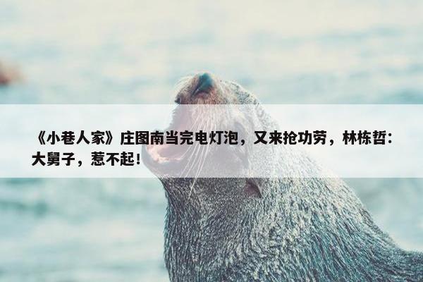 《小巷人家》庄图南当完电灯泡，又来抢功劳，林栋哲：大舅子，惹不起！